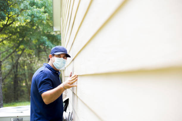 Affordable Siding Repair and Maintenance Services in Cornersville, TN